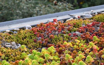 the cost of Whelford green roof installation